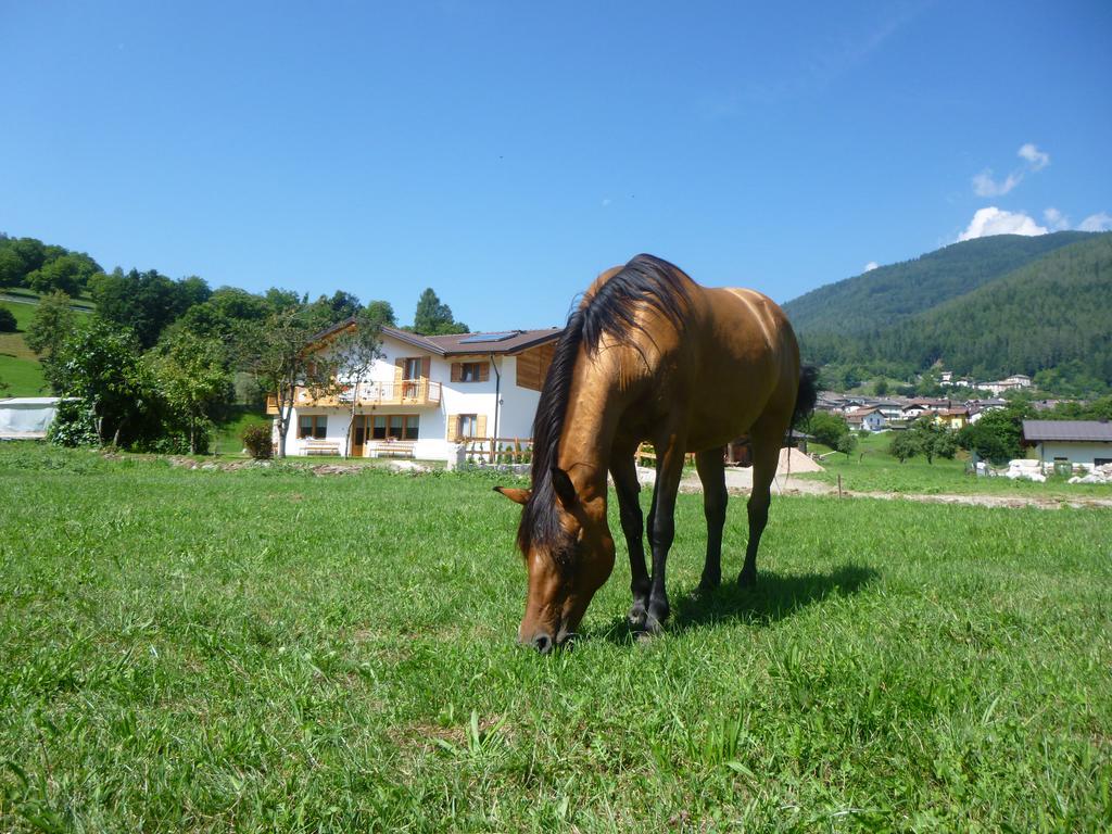 Bauernhof Fattoria Dalcastagne *