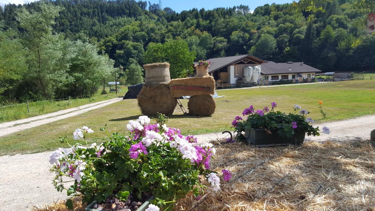Alojamento de Turismo Rural Fattoria Dalcastagne *